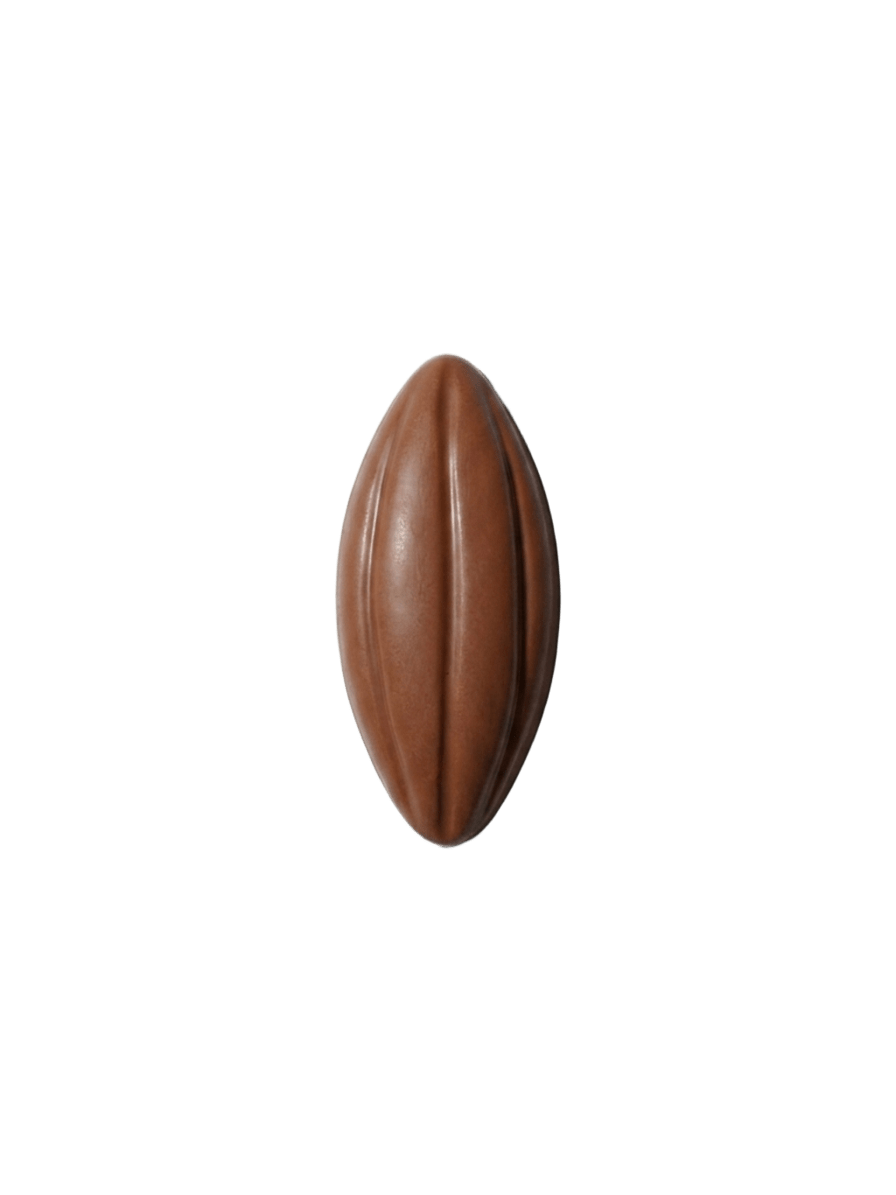 Ganache Caramel