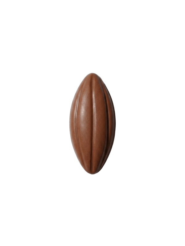 Ganache Caramel