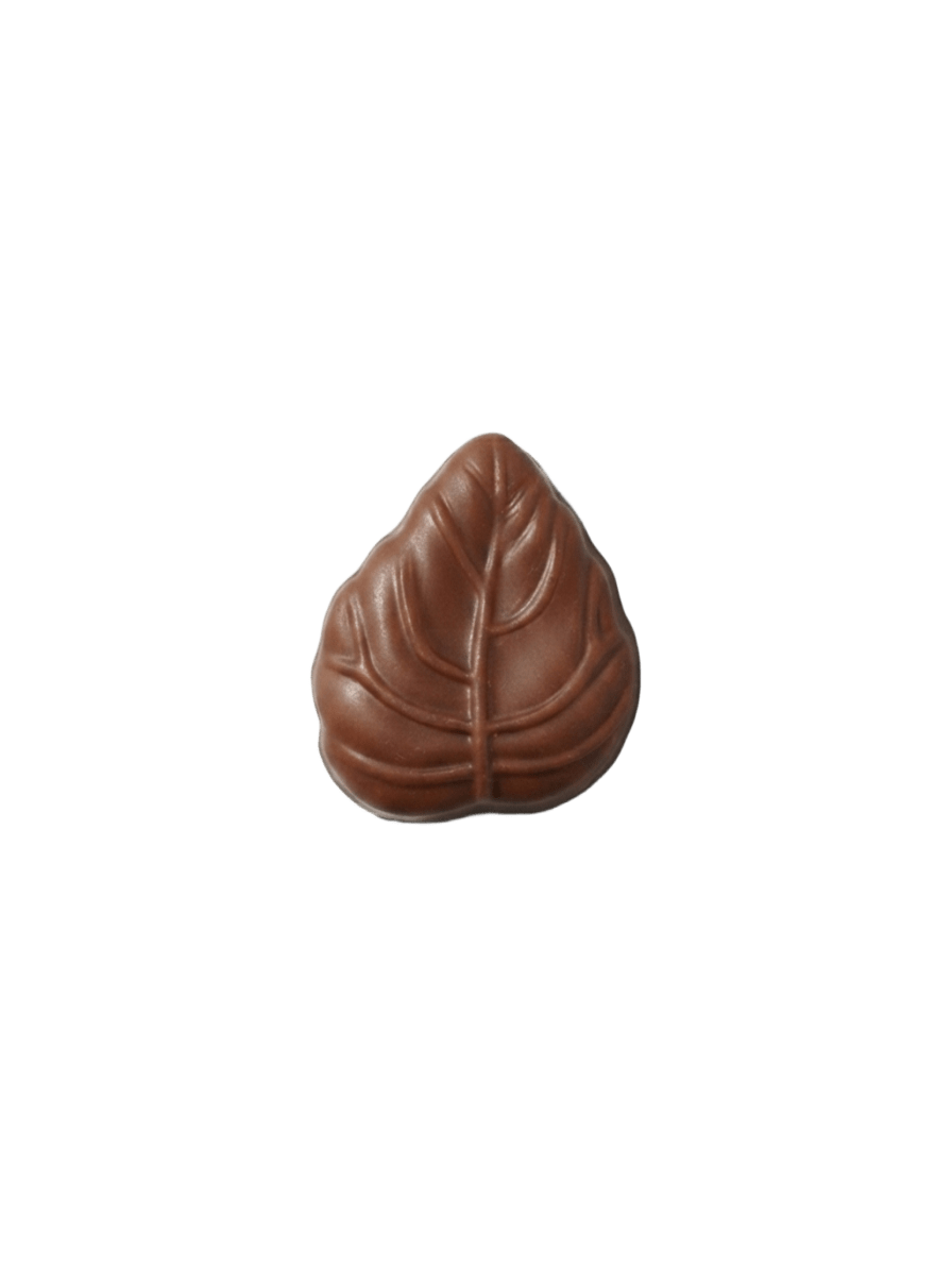 Praliné Tradition