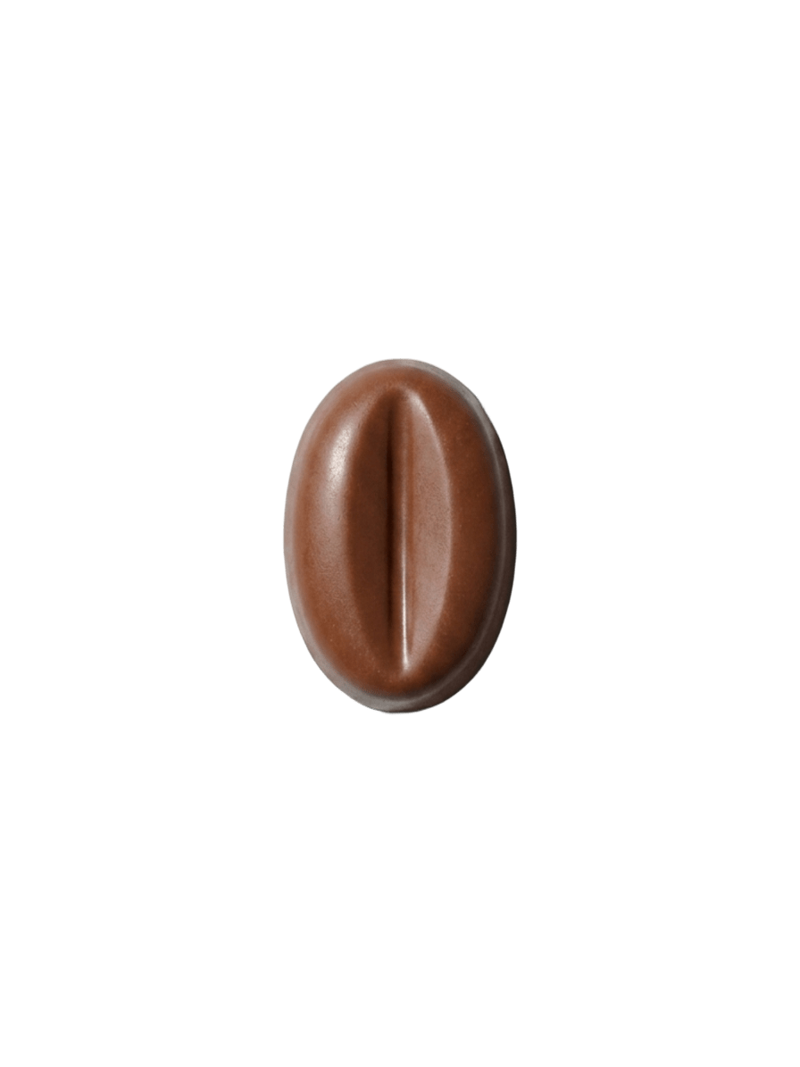 Ganache Coco