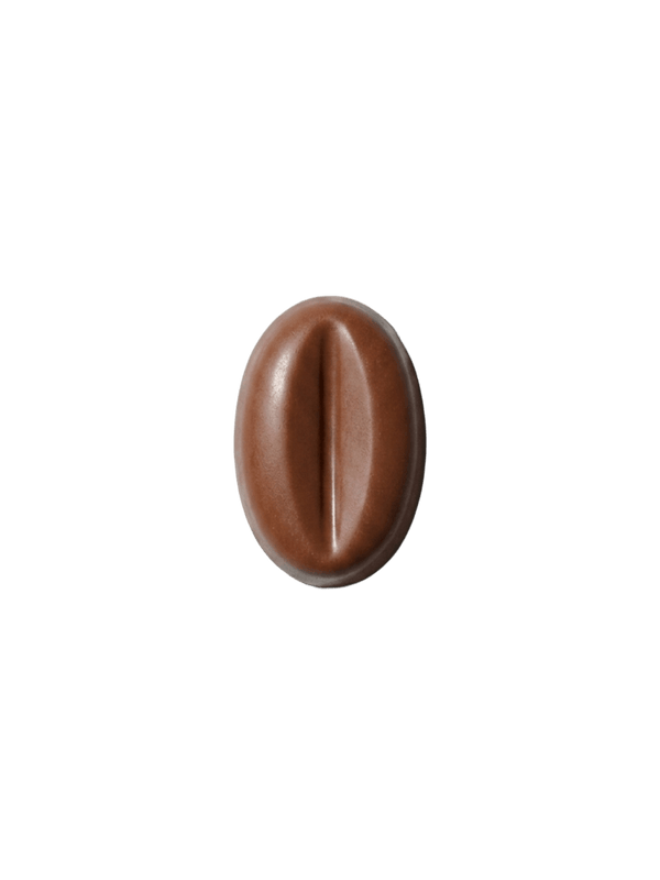 Ganache Coco