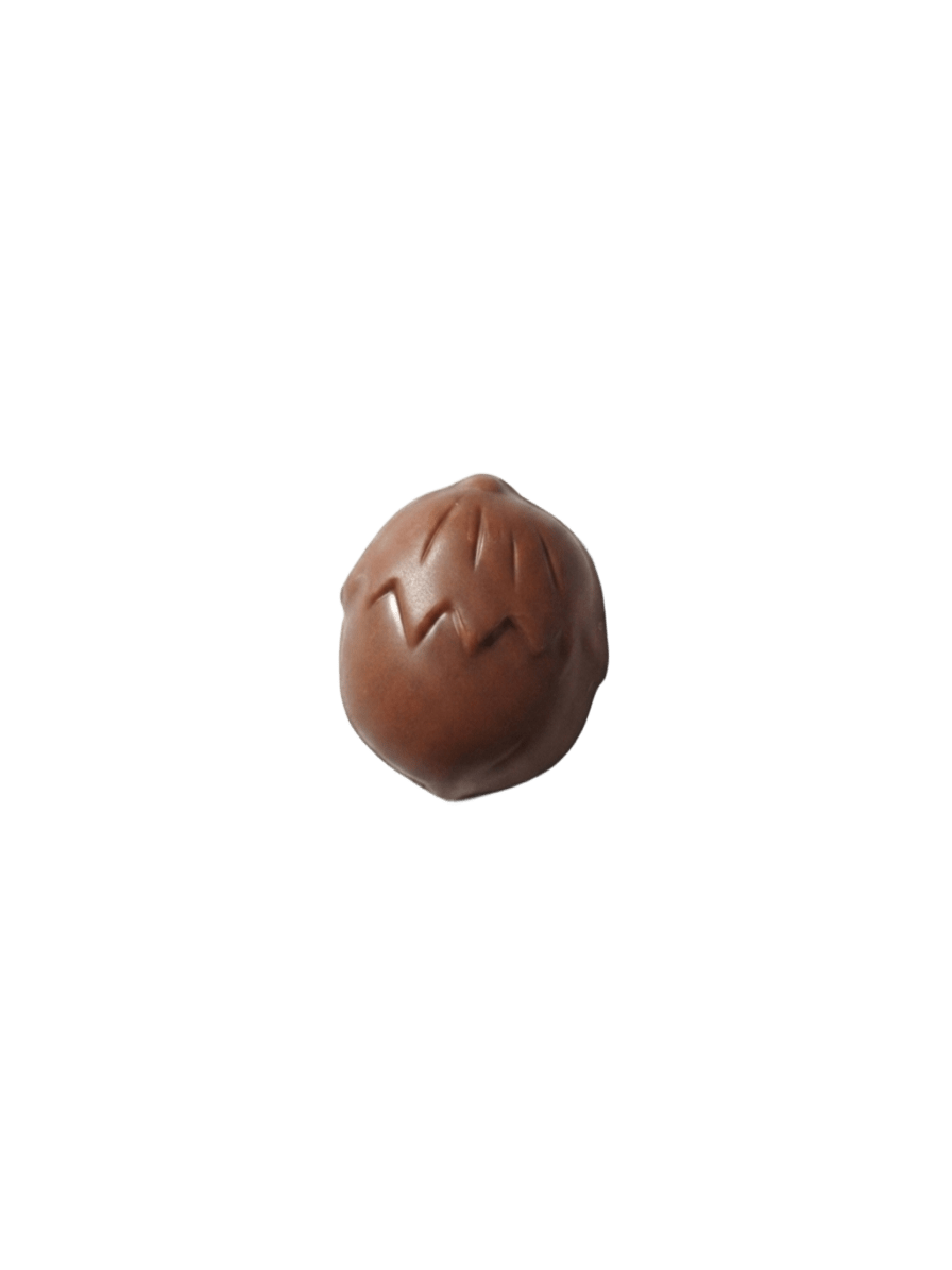 Noisette Nougatine