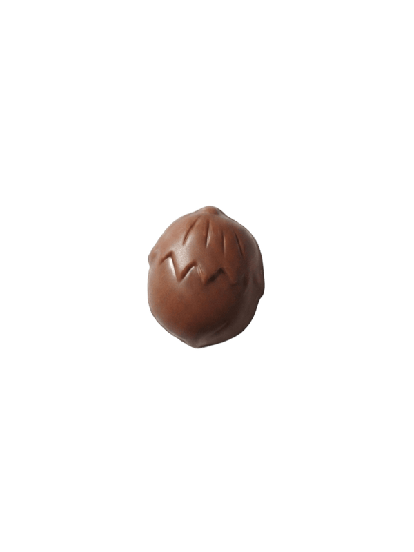 Noisette Nougatine